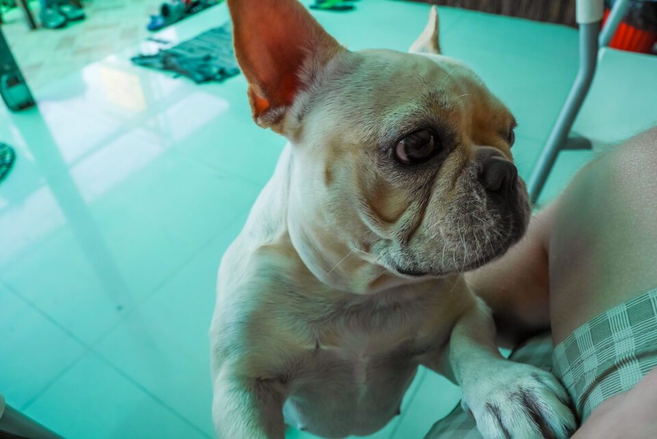 HomeBar Ко-Чанг