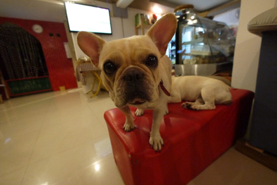 HomeBar Ко-Чанг