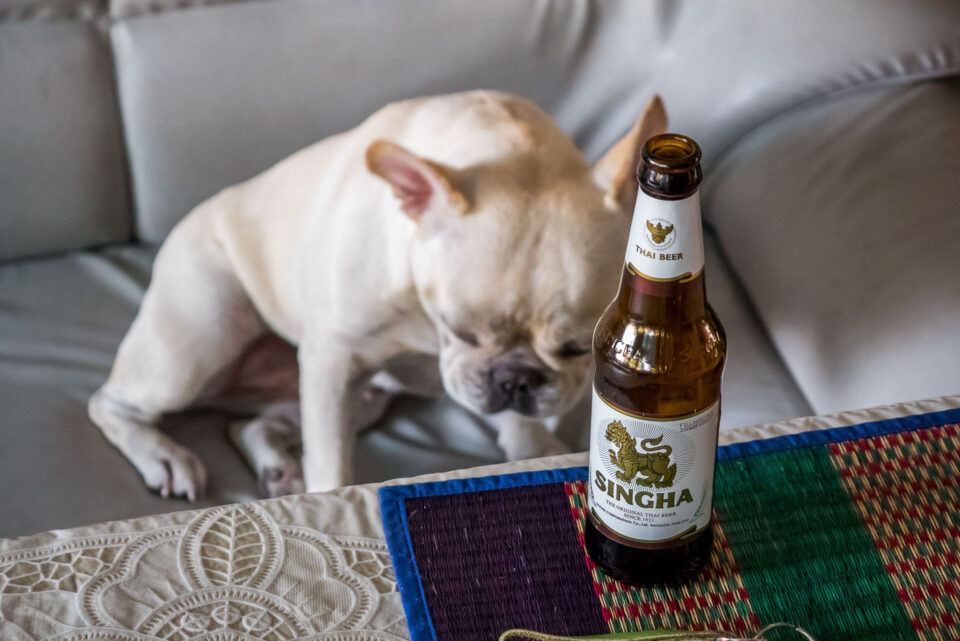 HomeBar Ко-Чанг