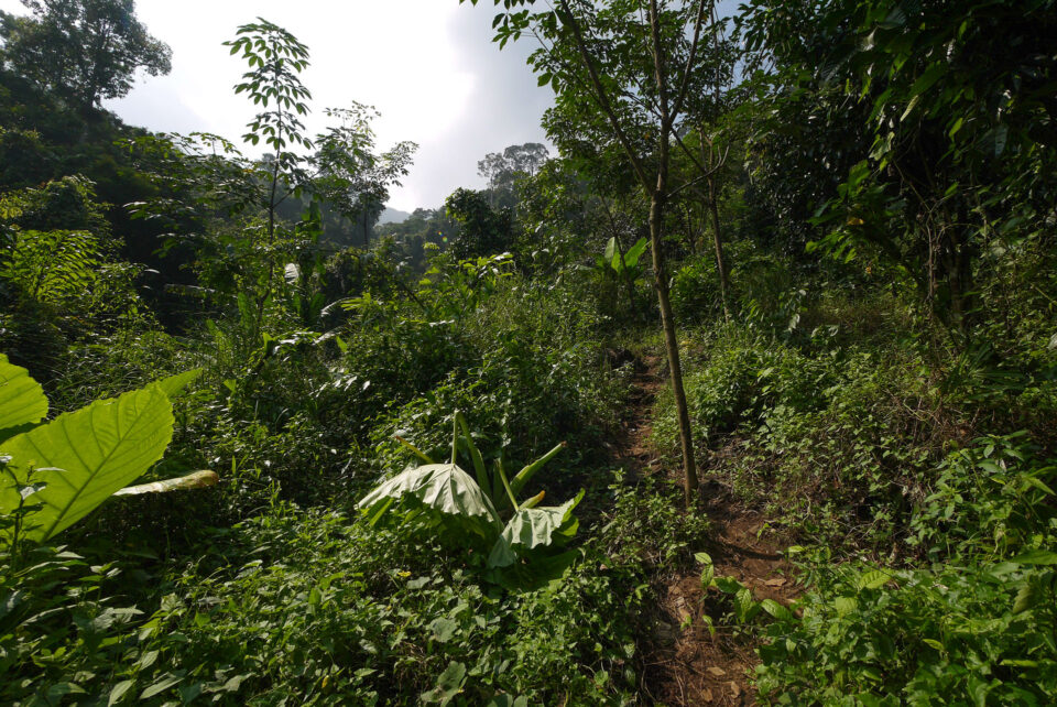 Водопад Кири Пэт