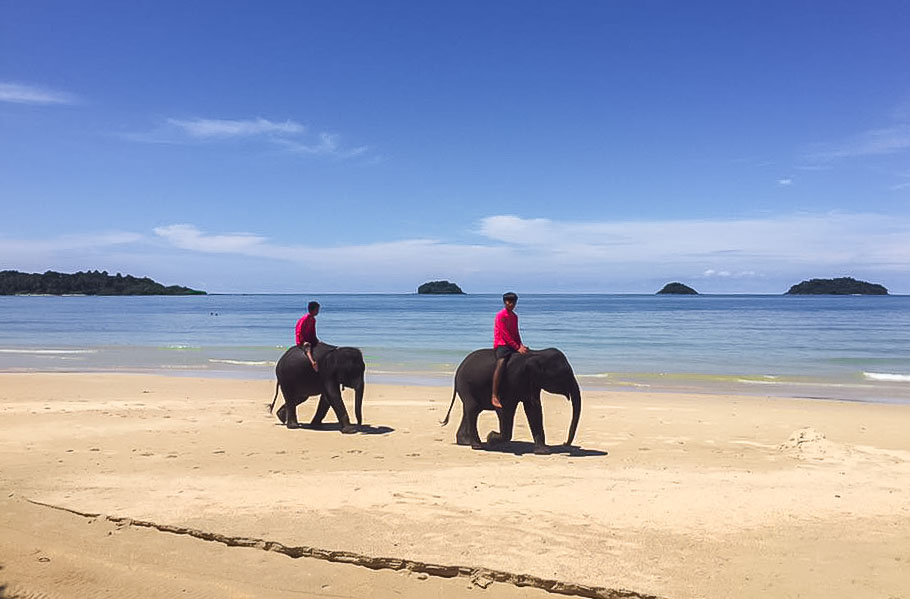 Слоны на пляже Кай-Бэй на Ко-Чанге