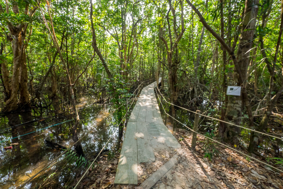 Тропинка от дороги к гестхаусу