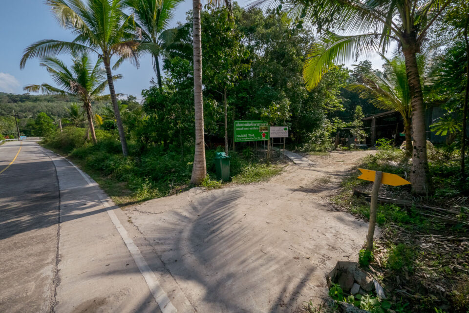 Вид на поворот с дороги