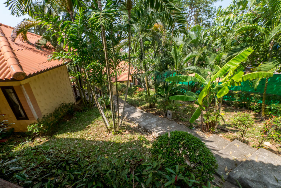 Paradise Bungalows (Пляж Кай-Бэй, Ко-Чанг )