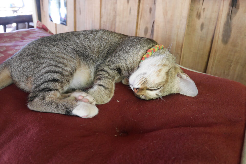 пляж Хат Сай Нои