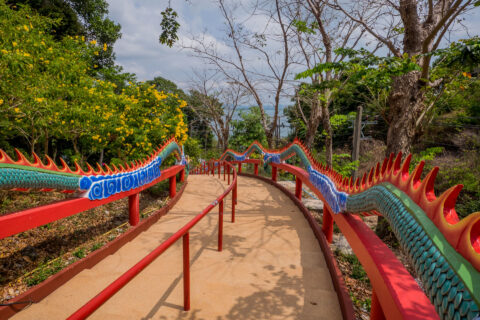 Вид на лестницу сверху