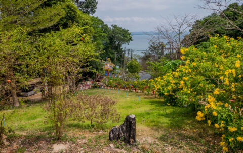 Вид на море